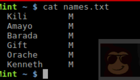 awk 变量、数值表达式以及赋值运算符如何使用