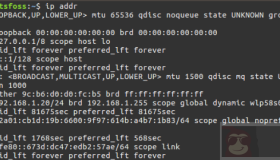 在 Linux 命令行中查找 IP 地址介绍