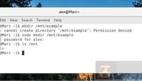 新人掌握的五大Linux终端命令的技巧