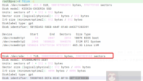 PVE 6.x中新增物理硬盘，新增本地存储方式