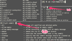 zsh 是 shell 中的极品？