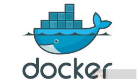 如何使用Docker构建运行时间较长的脚本