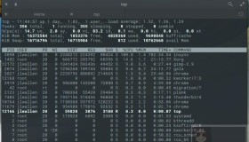 如何从命令行杀死一个进程