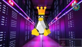 cURL 与 wget：到底哪一个才更适合你