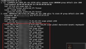 GreenCloud VPS IPV6配置方法，理论上SolusVM面板通用