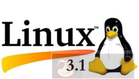 Linux内核模块