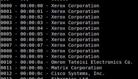 Linux 上的 MAC 地址欺骗