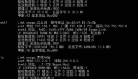 Shell中4个关键的网络命令