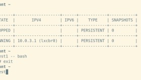 lxc exec 的魅力特征