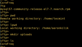 在 Linux 中使用 sFTP 上传或下载文件与文件夹