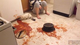 专家教你如何应对遗留代码