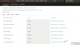 分享Linux下安装jdk8步骤