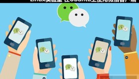 如何在Ubuntu上使用微信客户端