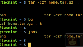 如何在后台运行 Linux 命令并且将进程脱离终端