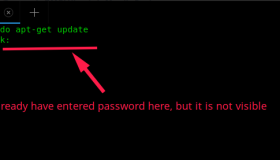 让你在终端输入密码时显示星号