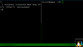 Tmux 终端命令行介绍