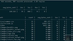 Ngxtop-Nginx日志实时分析利器