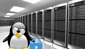 如何查找Linux 服务器的正常运行时间？