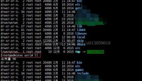 聚焦：Linux系统下常见Xshell运行命令汇总