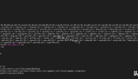 Linux 中列出或显示环境变量的方法有哪些？