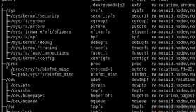 Linux 中查看已安装的磁盘驱动器清单技巧