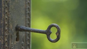 Linux下轻松修改MySQL/MariaDB的Root密码