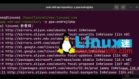 Ubuntu安装Lighttpd、PHP和MariaDB