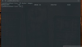 大神教你在 Linux 上安装和使用 Docker