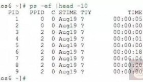 常用Linux进程及作业管理命令