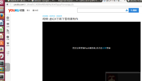 Ubuntu 16.04 下安装Firefox的Flash插件