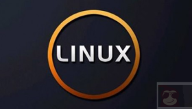 如何在Linux中安全的删除文件和目录