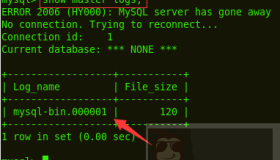 通过 MySQL 的二进制日志恢复数据库数据