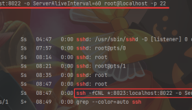 ssh与nginx进行内网穿透