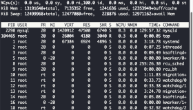 Linux命令top的宝藏知识