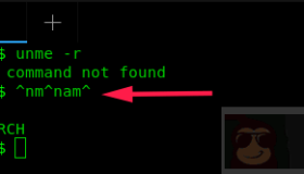 在 Linux 中纠正 Bash 命令拼写错误