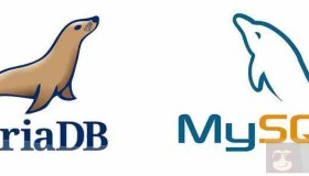 docker构建Mariadb数据库