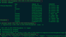 Docker 从入门到精通（二） 搭建本地仓库