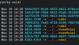 Linux 中如何获取磁盘分区的 UUID？