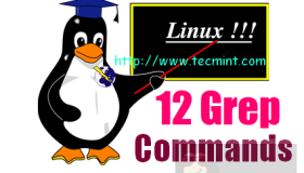 grep 命令的 12 个实例