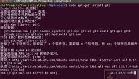 Ubuntu16.04最快捷搭建小型局域网Git服务器