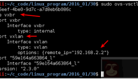 Docker+OpenvSwitch走进VxLAN的世界