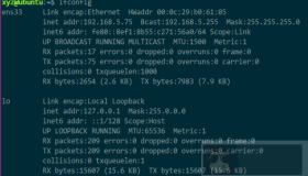 Linux桥接模式下设置静态IP的方法
