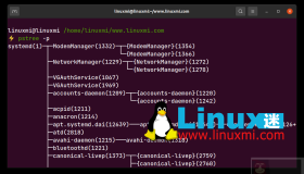 在 Linux 中如何查找父进程 PPID？