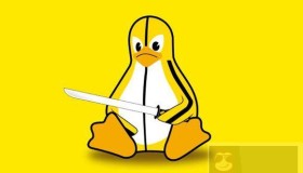 Linux查看进程完整路径的方法