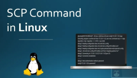 如何用 scp 在本地和远程主机之间复制文件