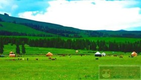 用C实现动态扩容的string