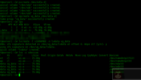 如何将lvm卷移动到另一台服务器中