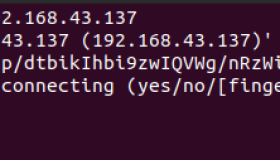 如何自动接受SSH密钥指纹？