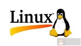 如何快速清空 Linux 中的大文件