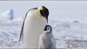 在Linux下安装配置Cntlm代理教程